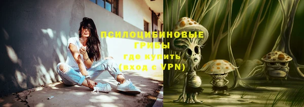 мдпв Балахна
